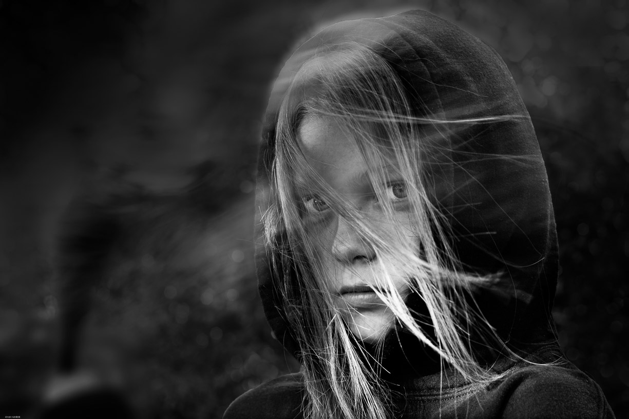 HANESSE Johan - 2 Rebelle