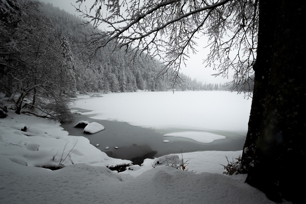 HENNEBICQ Arnaud - 8 Silence d'hiver