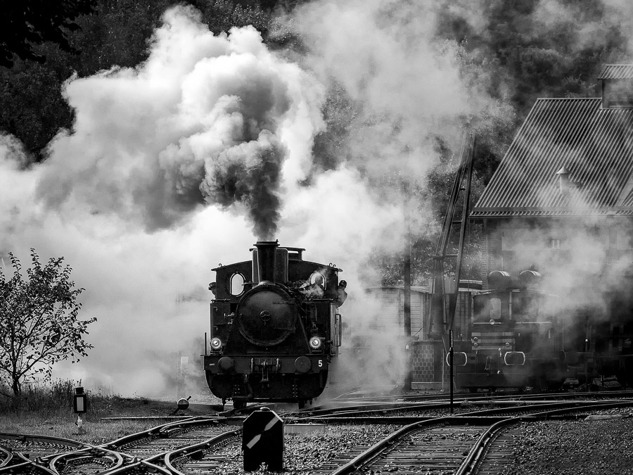 QUARTIER William - Fond de gras Luxembourg