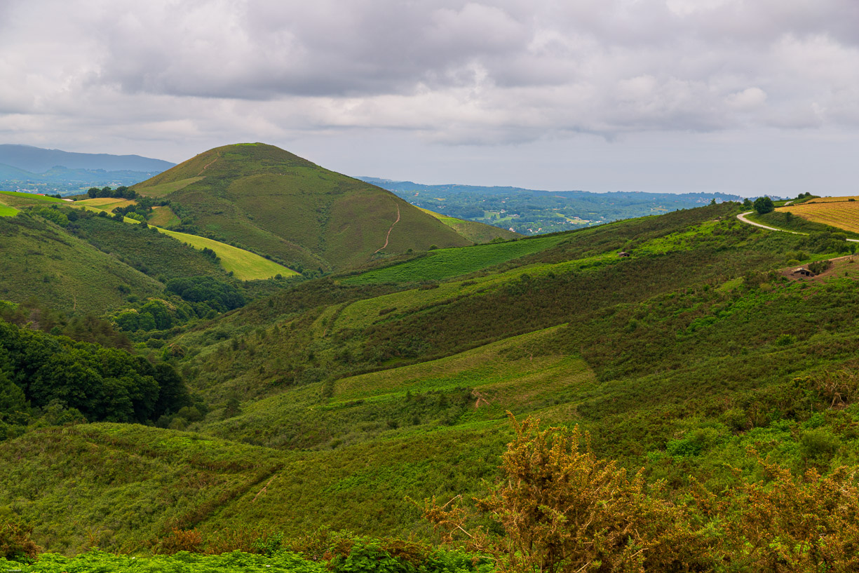 VAN DEN BERG Emmanuel - 5 Paysage